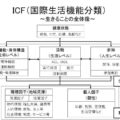 ICFの概念図